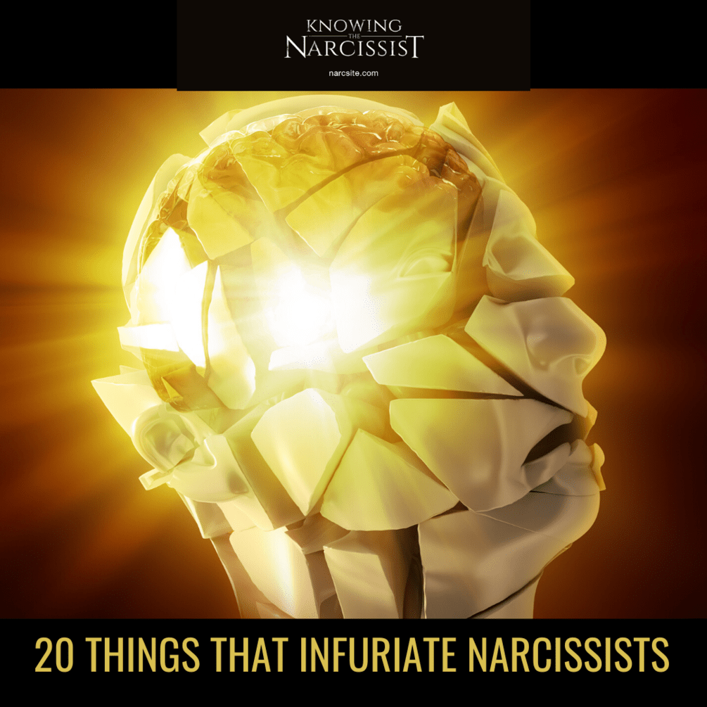 How To Put A Narcissist In Their Place