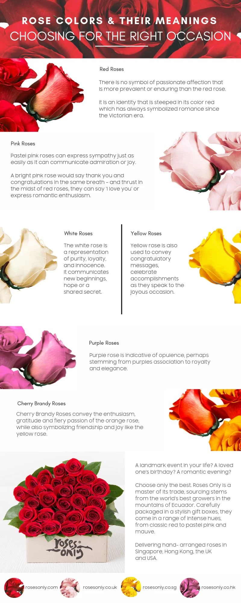 Flowers Colors And Their Meaning