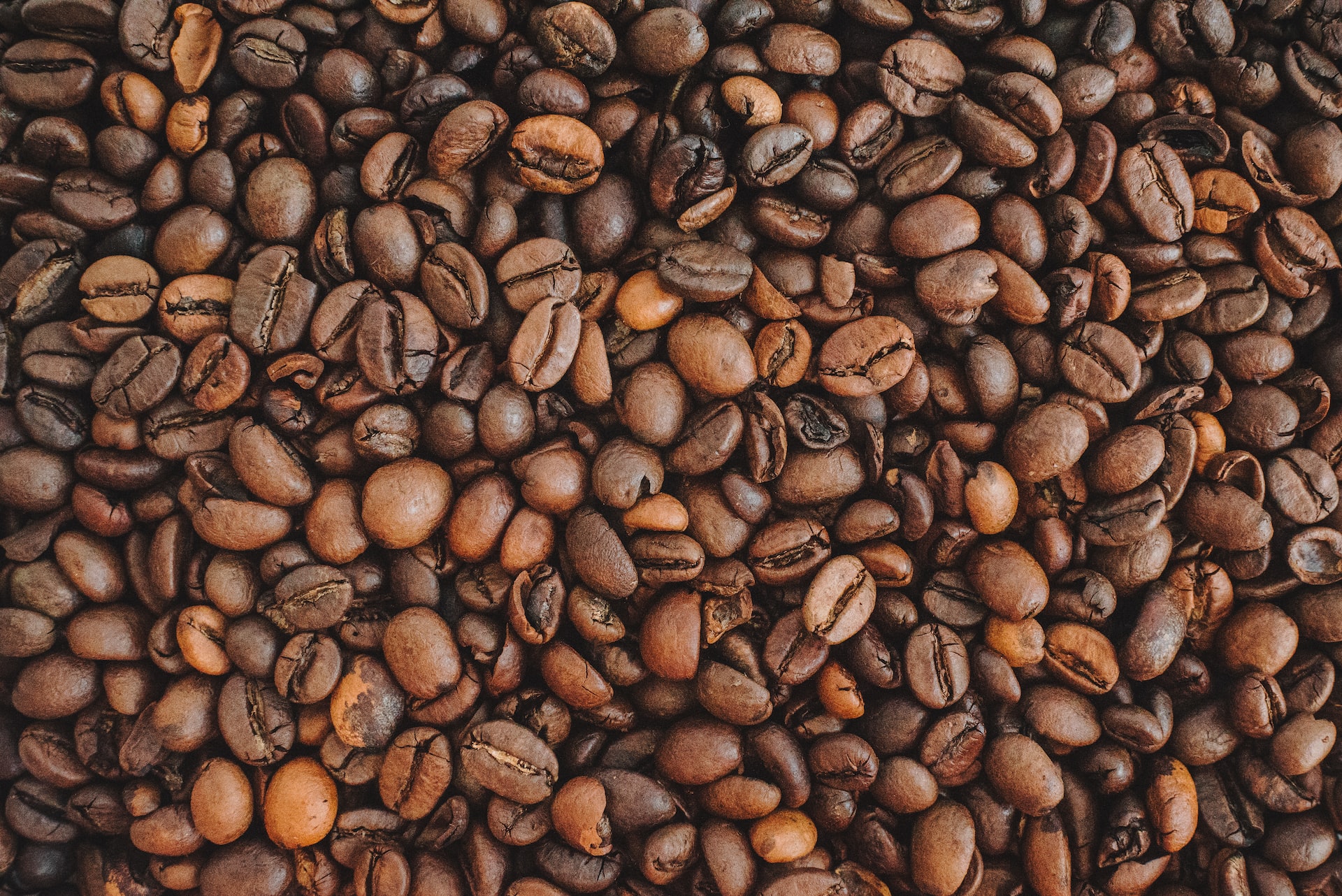 Where Do Coffee Shops Get Their Beans