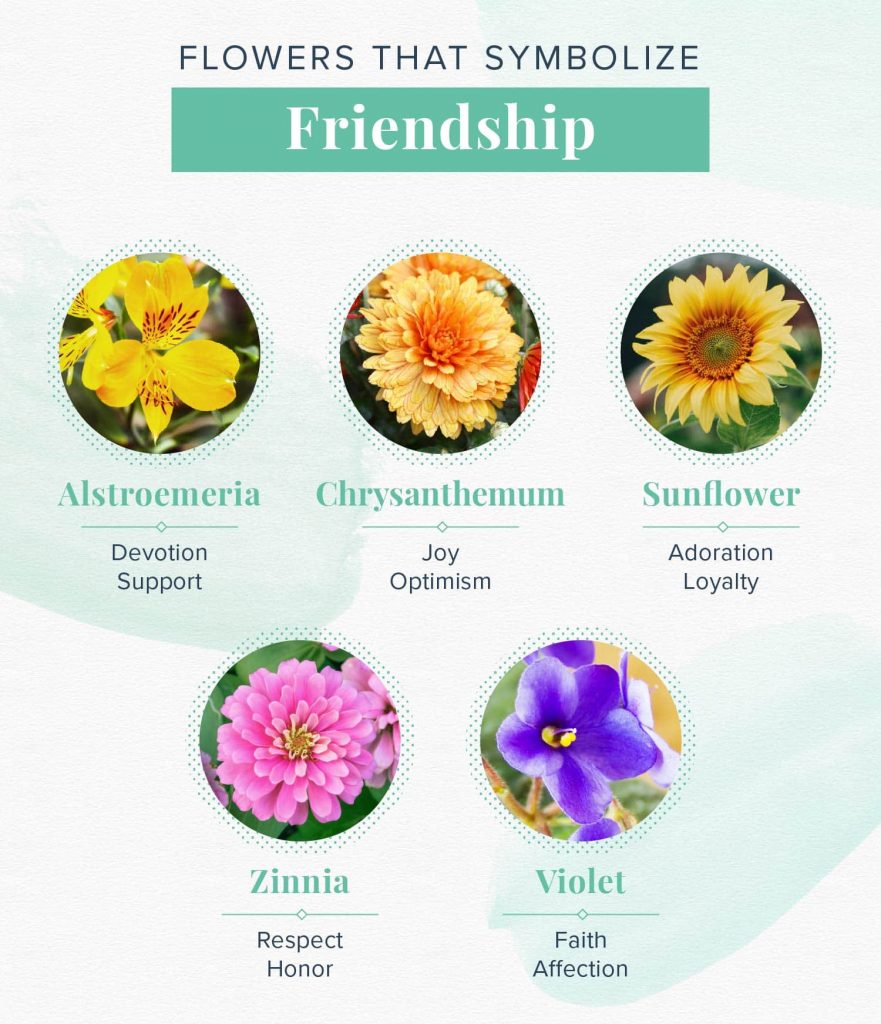 Different Flowers And Their Meaning