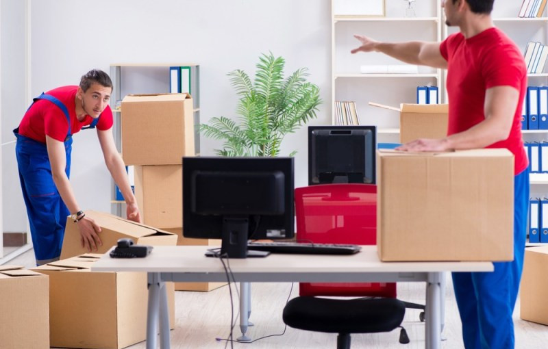 How Much Do Professional Movers Cost