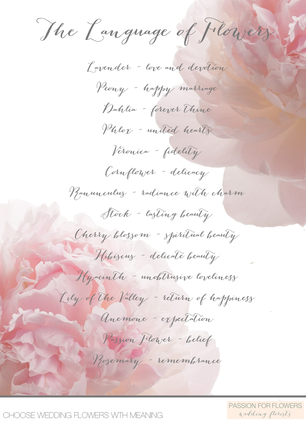 Different Flowers And Their Meaning