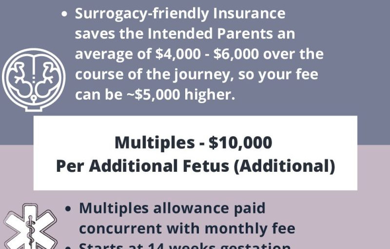 What Do Surrogates Get Paid