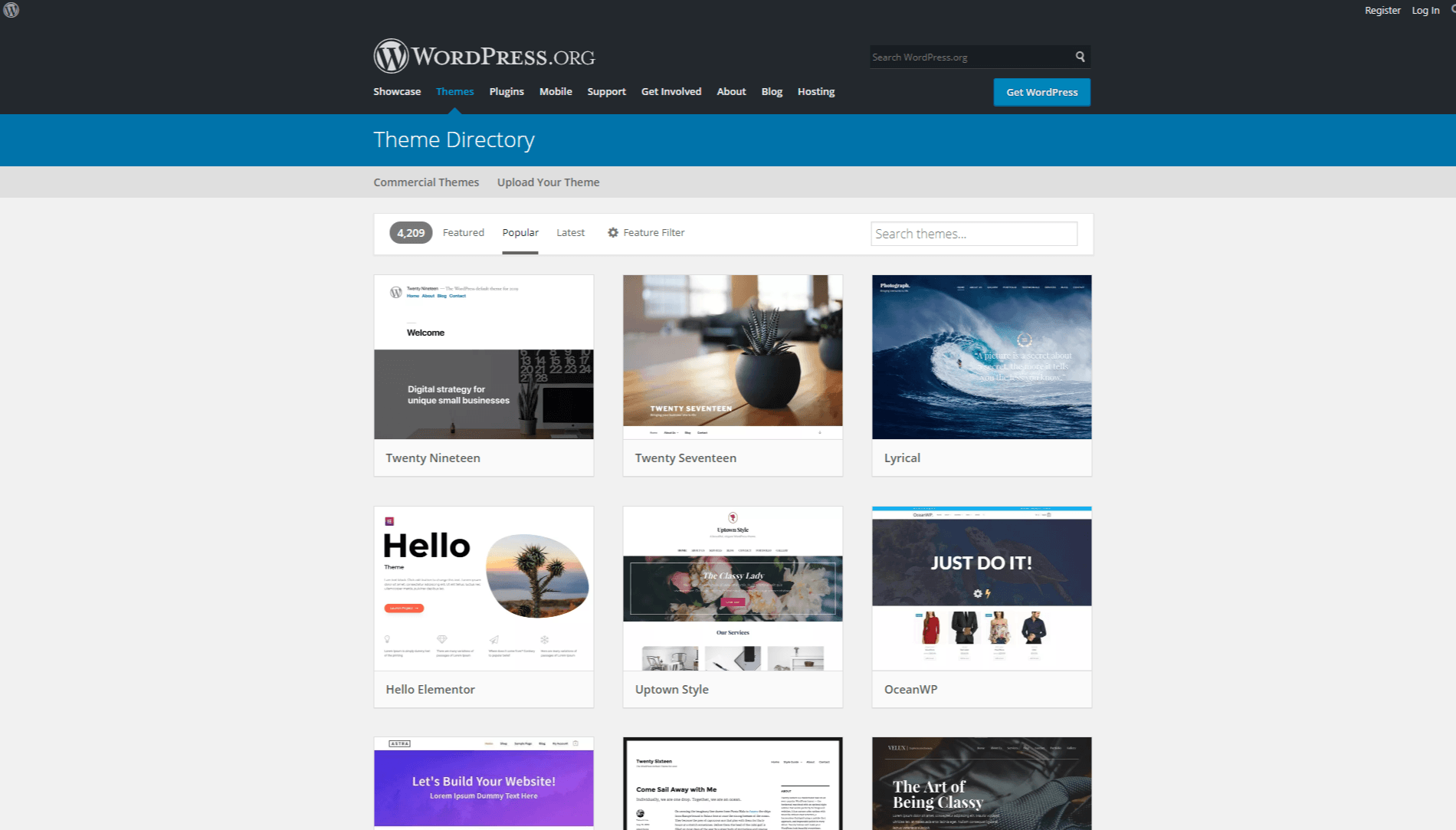 Wordpress Theme For Web Designers